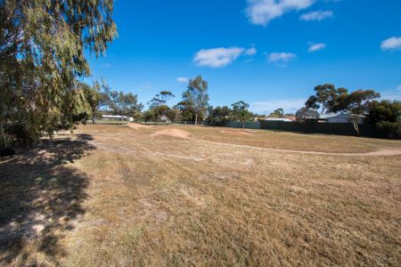 Anne Street Reserve