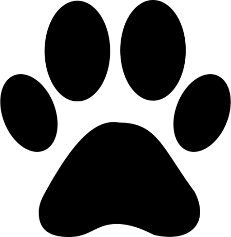 Pet Registration