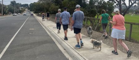 Wellbeing Walk image
