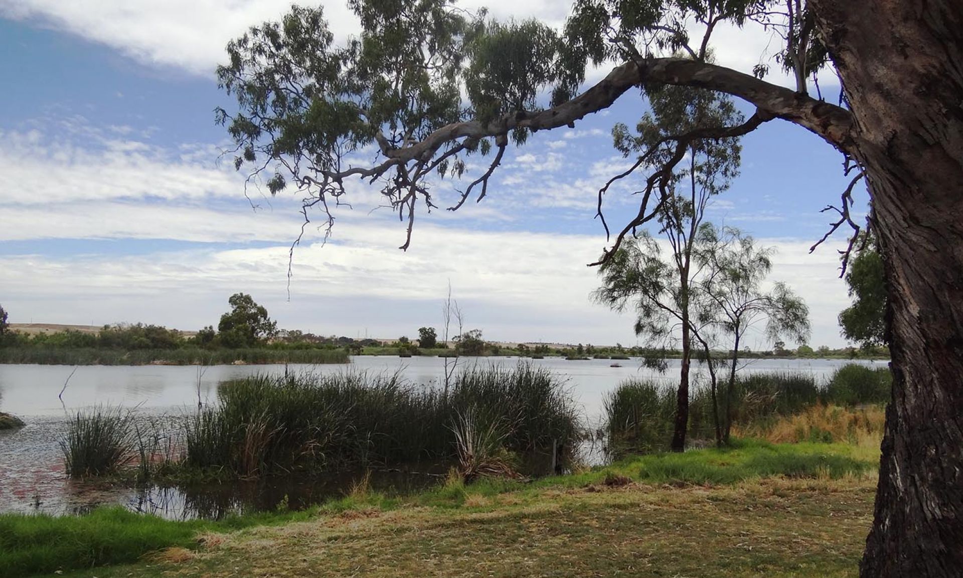 Riverglades Wetlands