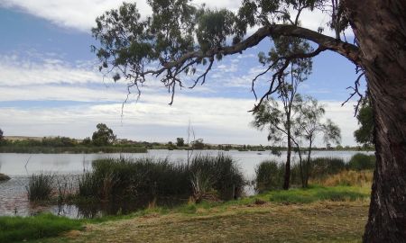 Riverglades Wetlands