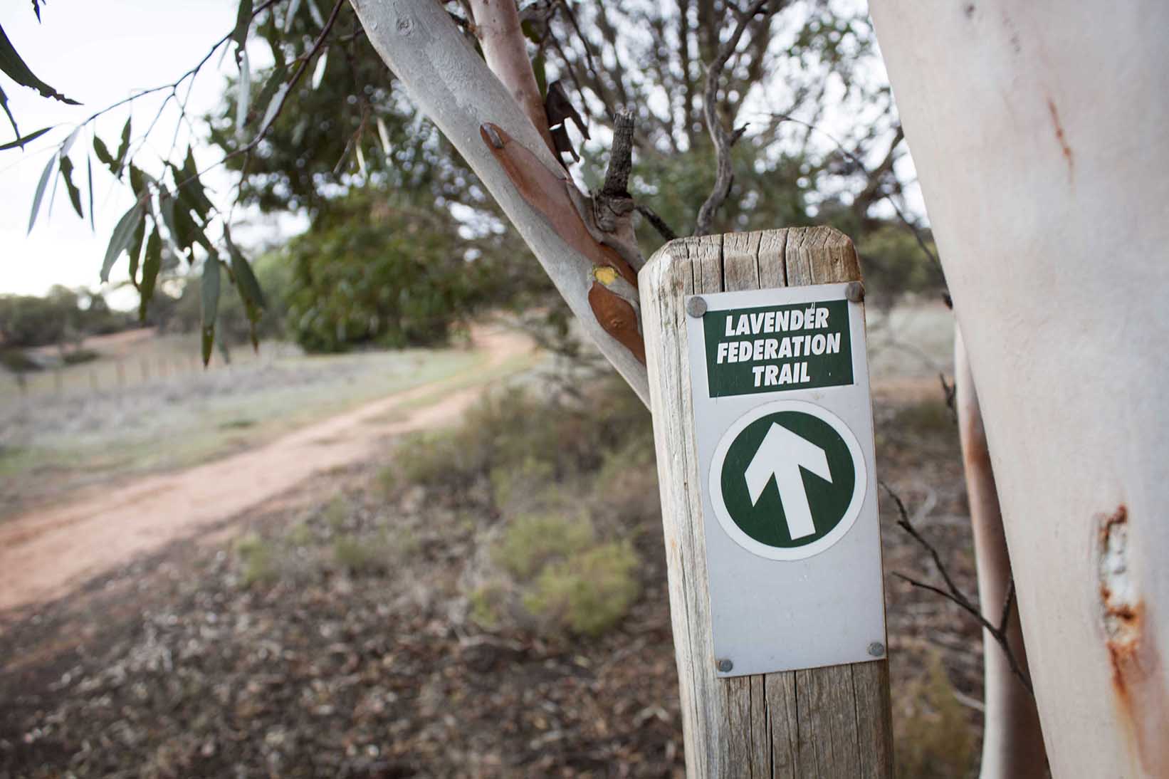 Lavender Federation Trail Marker
