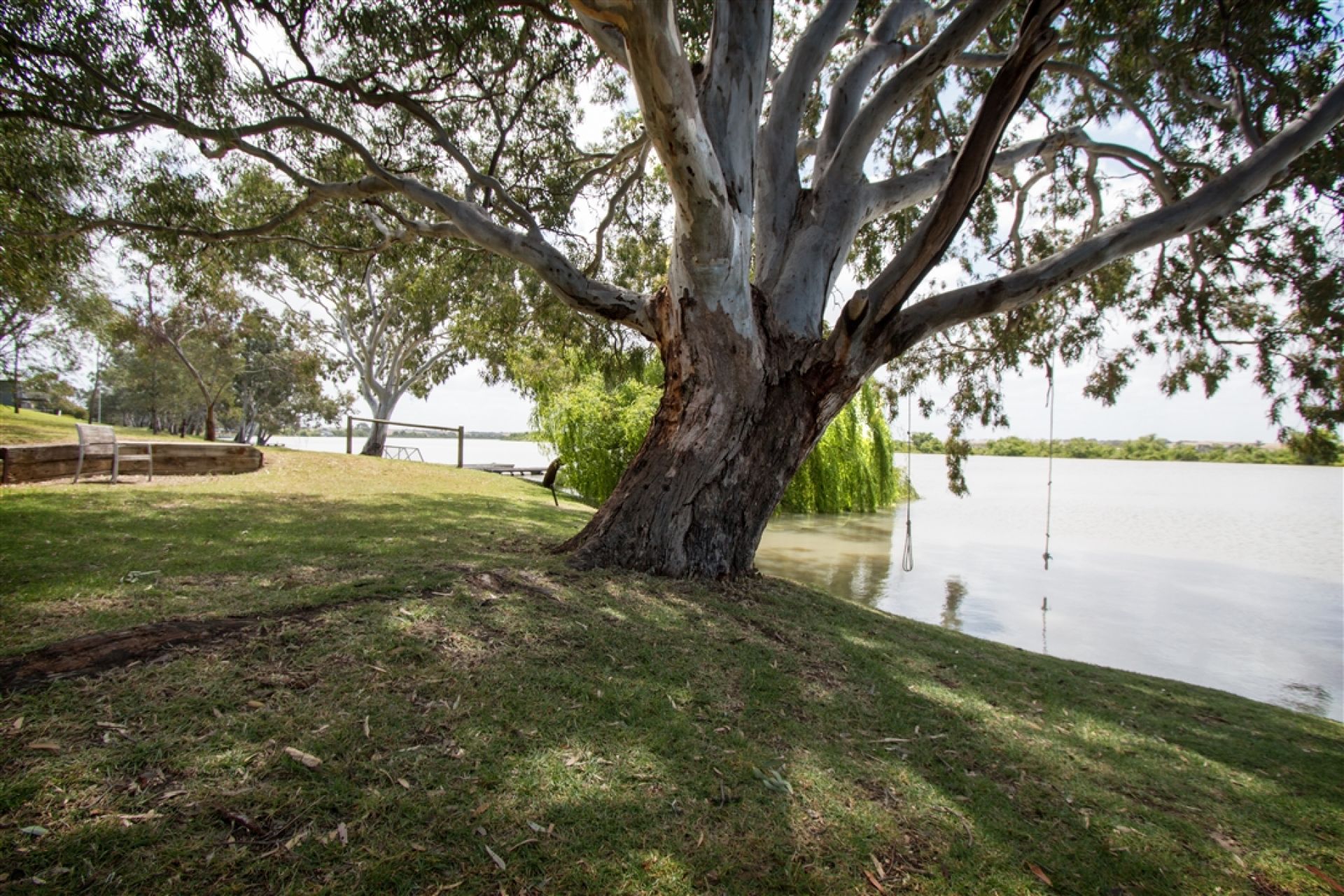 Hann Road Reserve