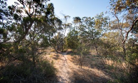 Murray Park Bushlands