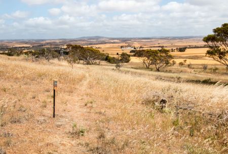Callington Hill Marked Track