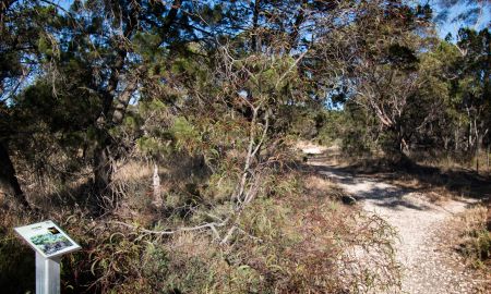 Murray Park Trail with Interpretation
