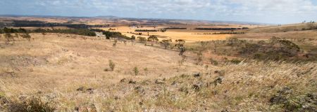 Callington Hill View