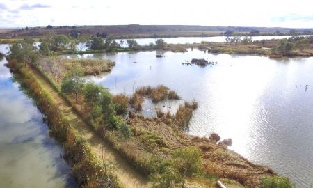Riverglades Wetlands