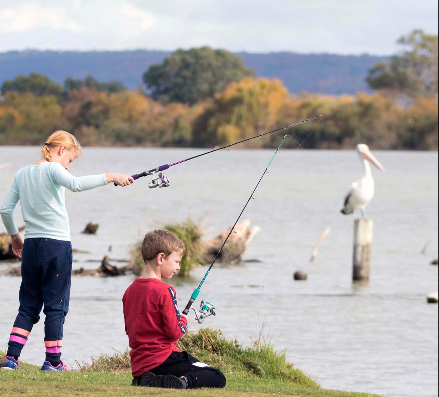 Family Fishing Thiele Reserve