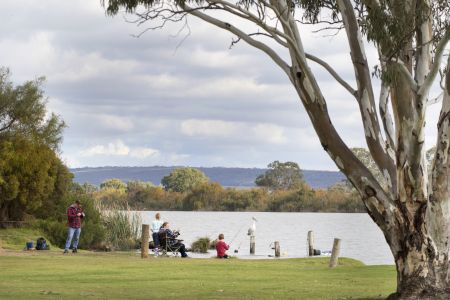 Picnic at Avoca Dell