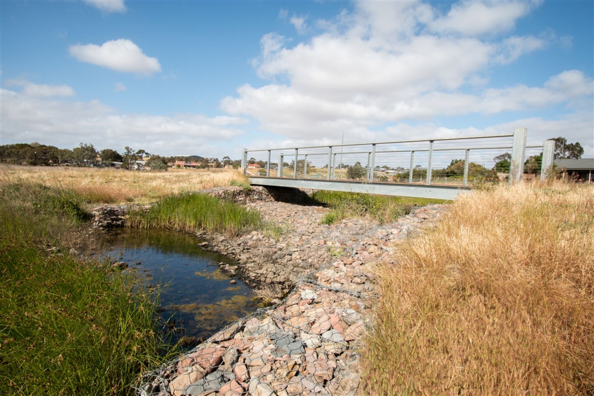 Casuarina Walk Reserve View