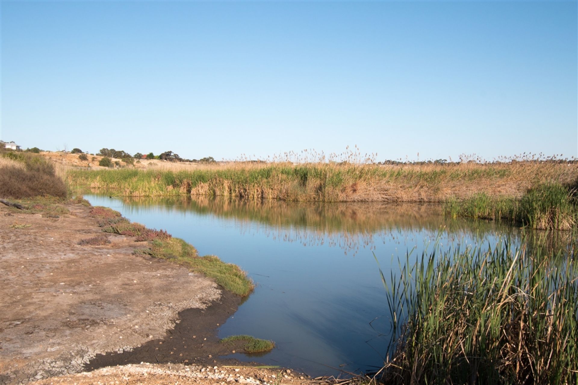 Hume Reserve River