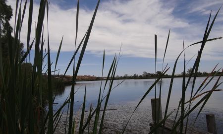 Riverglades Wetlands