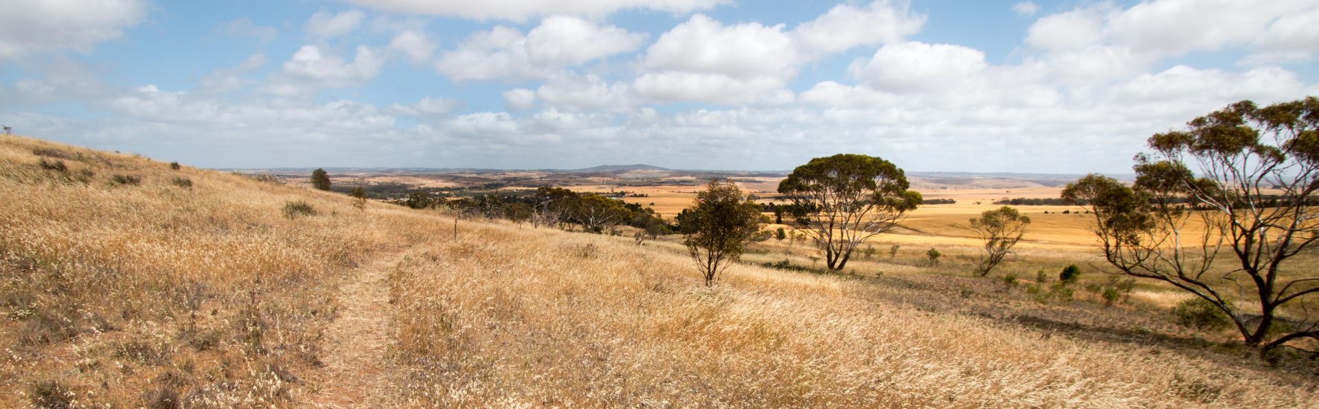 Callington Hill