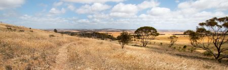 Callington Hill