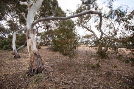 Raymond Road Reserve View
