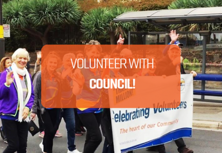 Volunteer for Council