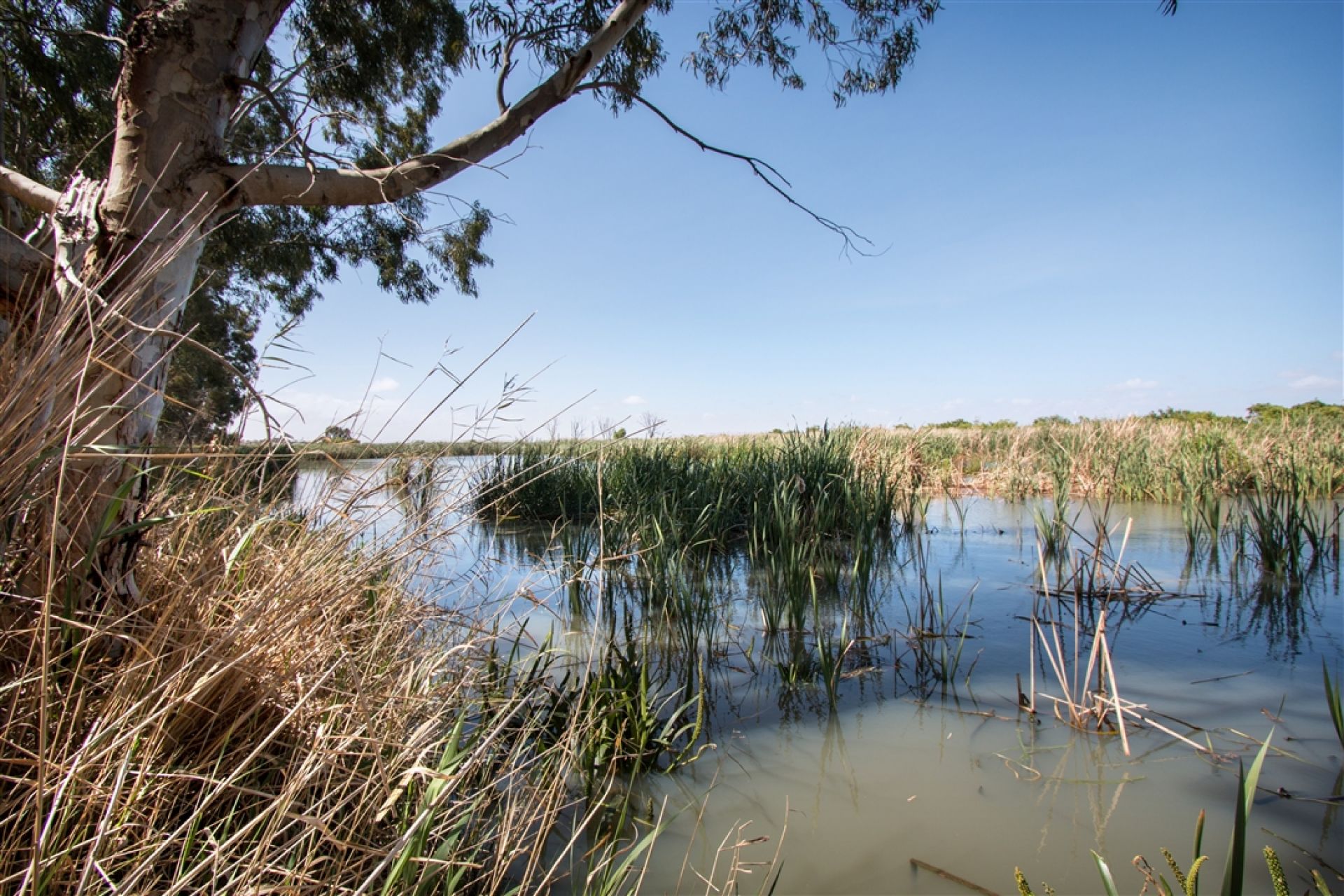 Murrundi Reserve View