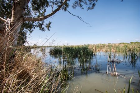 Murrundi Reserve View