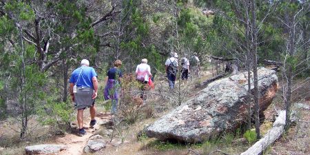 Trails and Shared Use Tracks