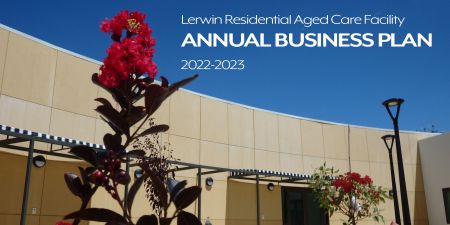 Lerwin Annual Business Plan