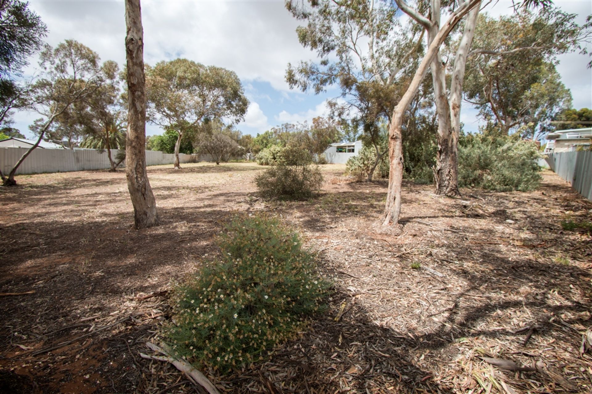 Myrtle Avenue Reserve
