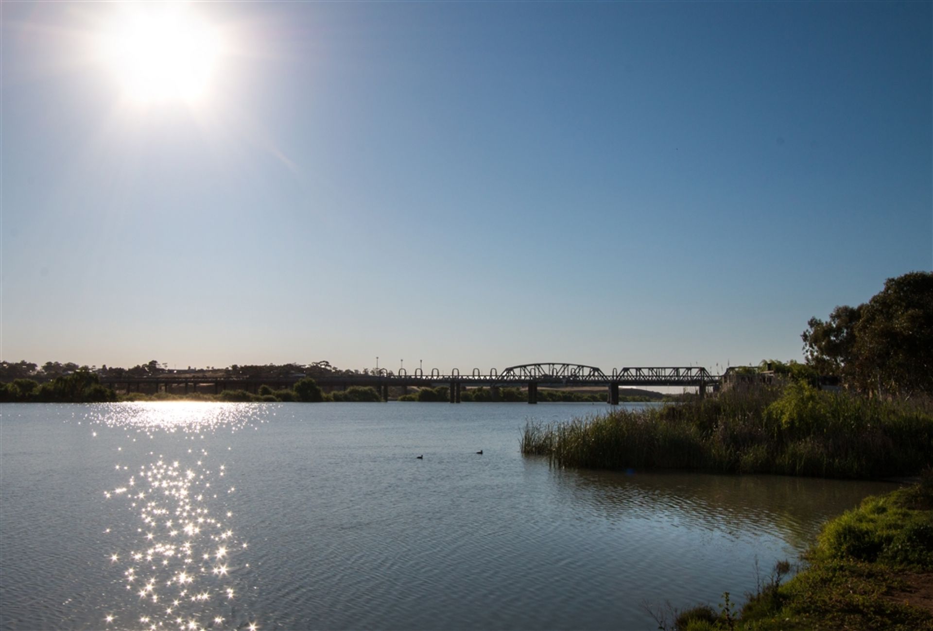Hume Reserve View