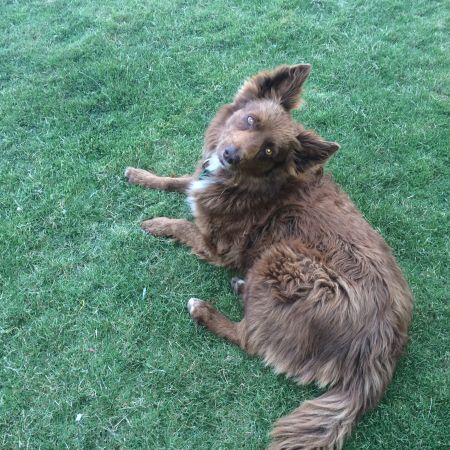 Rusty