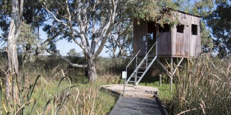 Swanport Wetlands Bird Hide