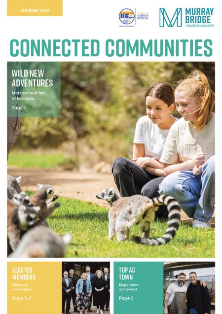 Newletter cover image