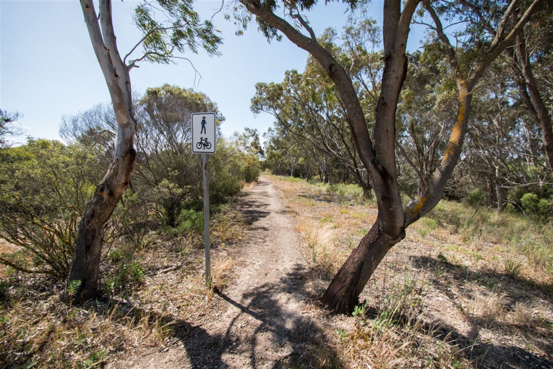 Murrundi Reserve Shared Track