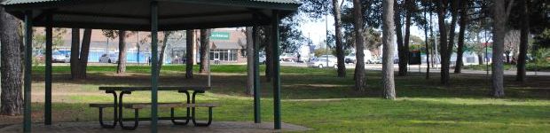 Photograph Pine Park Panorama