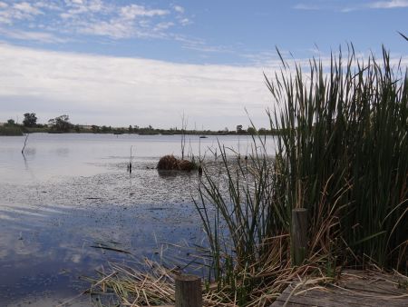 Wetlands