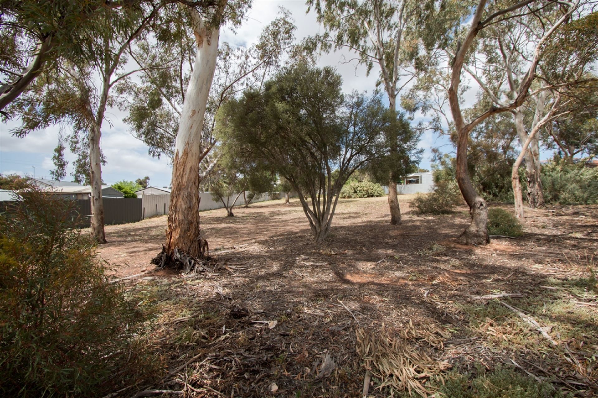 Myrtle Avenue Reserve View