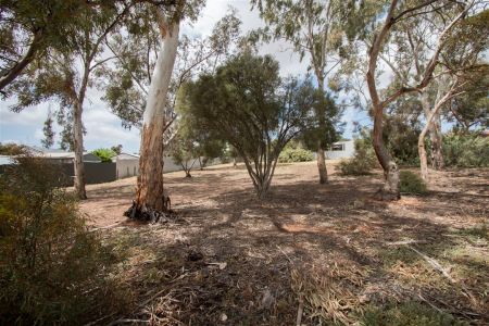 Myrtle Avenue Reserve View