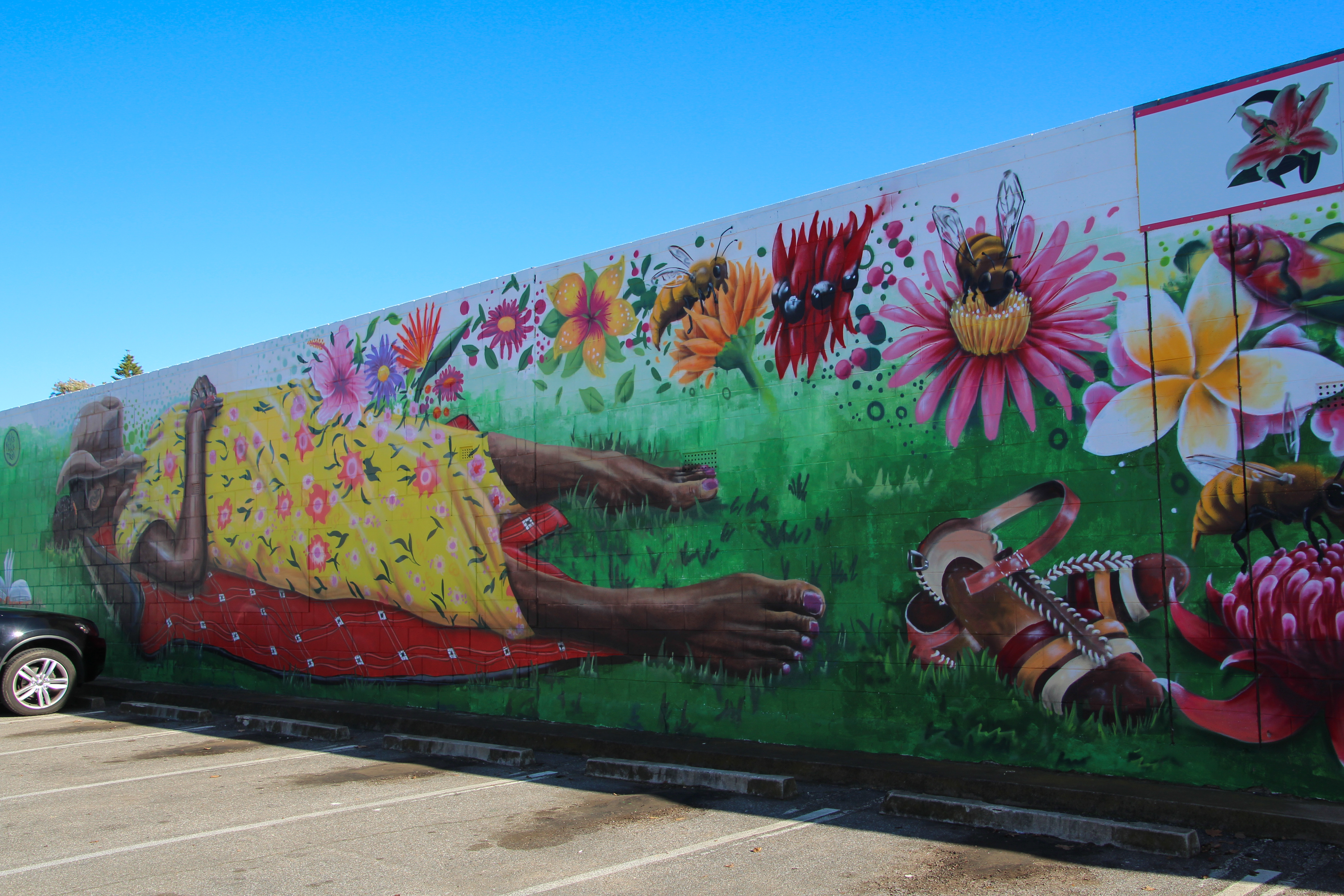 1. Mike Makatron, Untitled, 2020, Murray Bridge Florist-Bank SA carpark wall