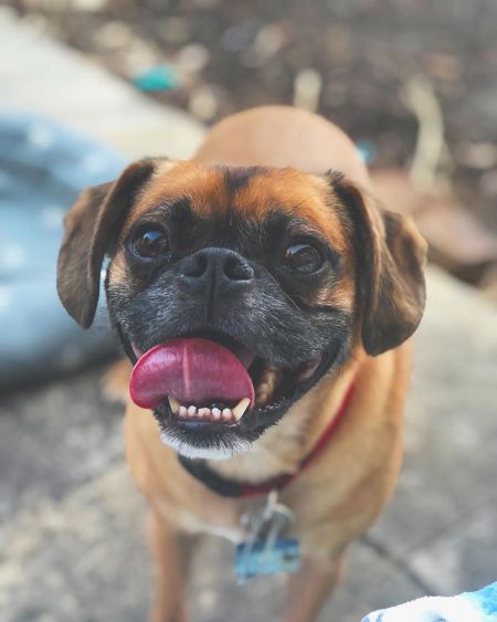 Dexter